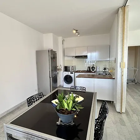 Appartement Avec Terrasse, Climatise A Ajaccio - Fr-1-61-649
