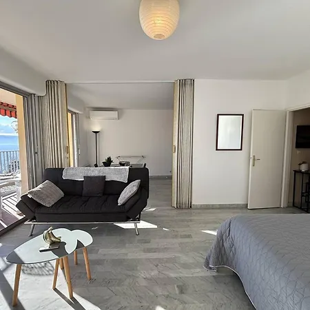 Appartement Avec Terrasse, Climatise A Ajaccio - Fr-1-61-649 *