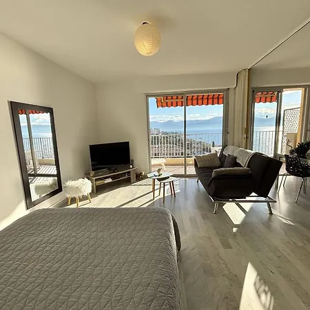 Appartement Avec Terrasse, Climatise A Ajaccio - Fr-1-61-649
